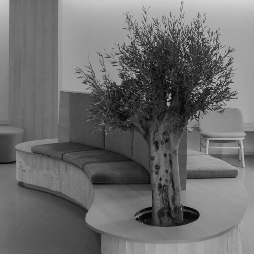 contacto-clinica-dental-valencia-sofia-cortes